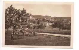 DEGERSHEIM Bauer mit Kühen