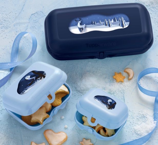 Tupperware Behälter & Ähnliches: Drillinge Bär - Tupperware – Neu (gemäss Beschreibung) aus Winkel von davos220