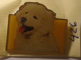 1 Schöner Hunde Pin (426)