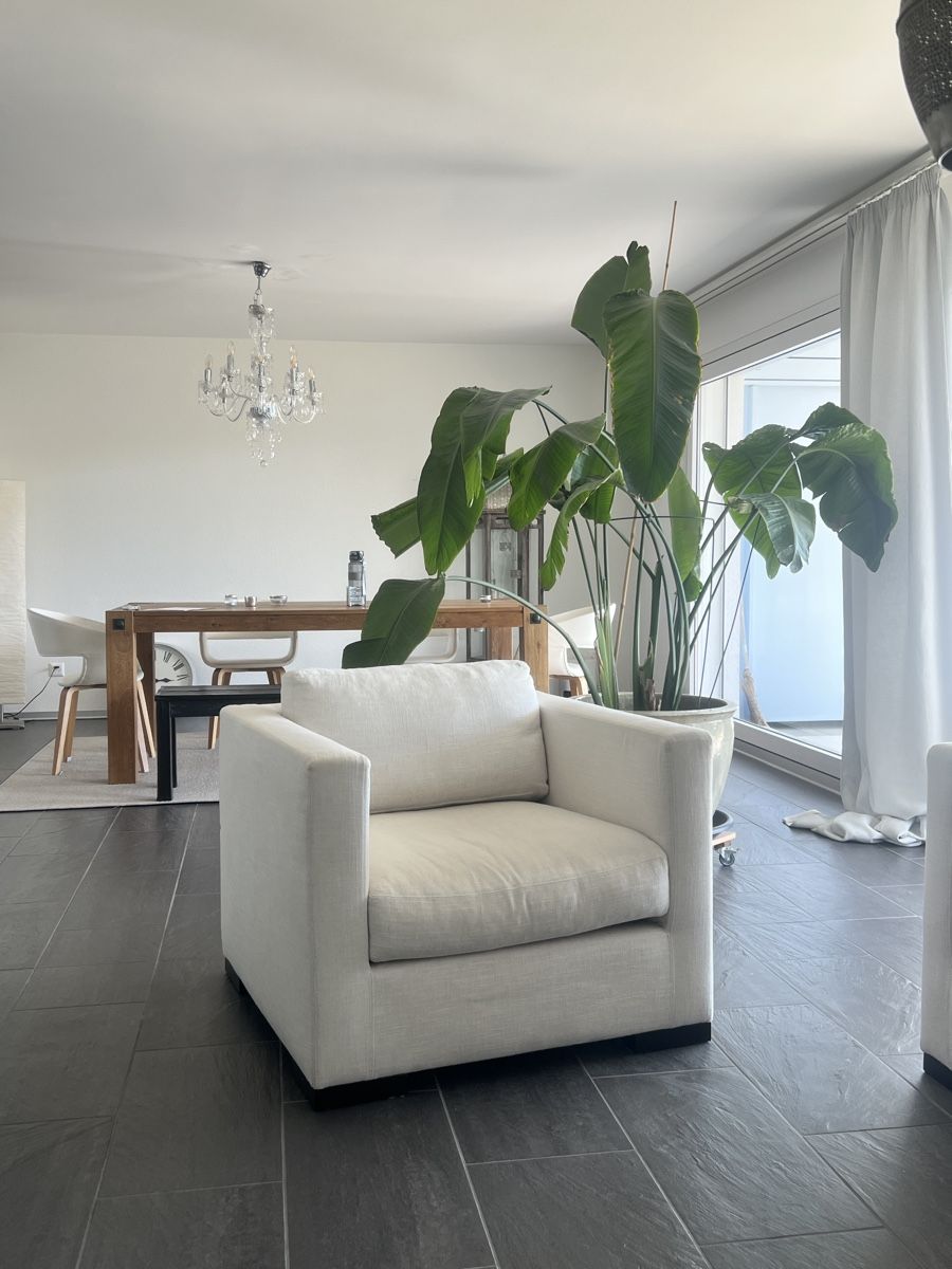Divani: Meridiani - Sofa inkl. Sessel – Usato da Horgen venduto da sina2609 1