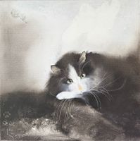 Dédé “Regard”