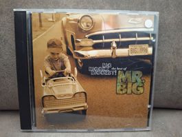 Mr. Big - Big, Bigger, Biggest!