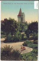Basel - Partie aus dem Botanischen Garten mit Spalentor