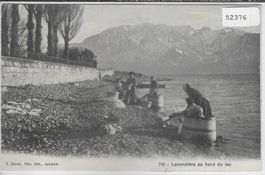 Lavandiere au bord du lac - animee
