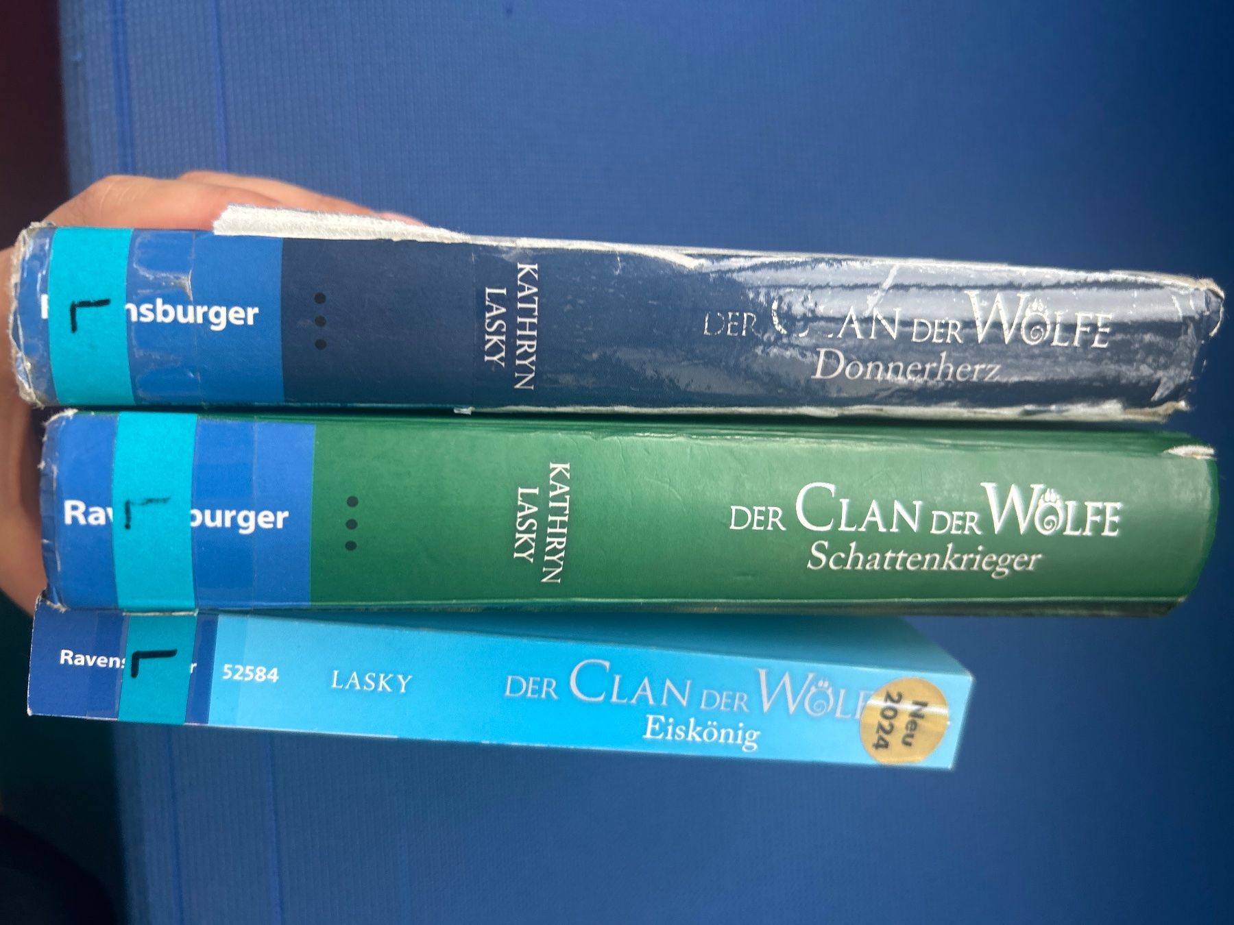 Libri: Der Clan der Wölfe – Usato da Zürich venduto da Madita_auf_der_Erbse 2