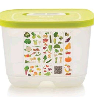 Tupperware Contenitori & Simili: Tupper Ventsmart 1,8 l – Nuovo e nell'imballaggio originale da Schweizersholz venduto da fuchs06