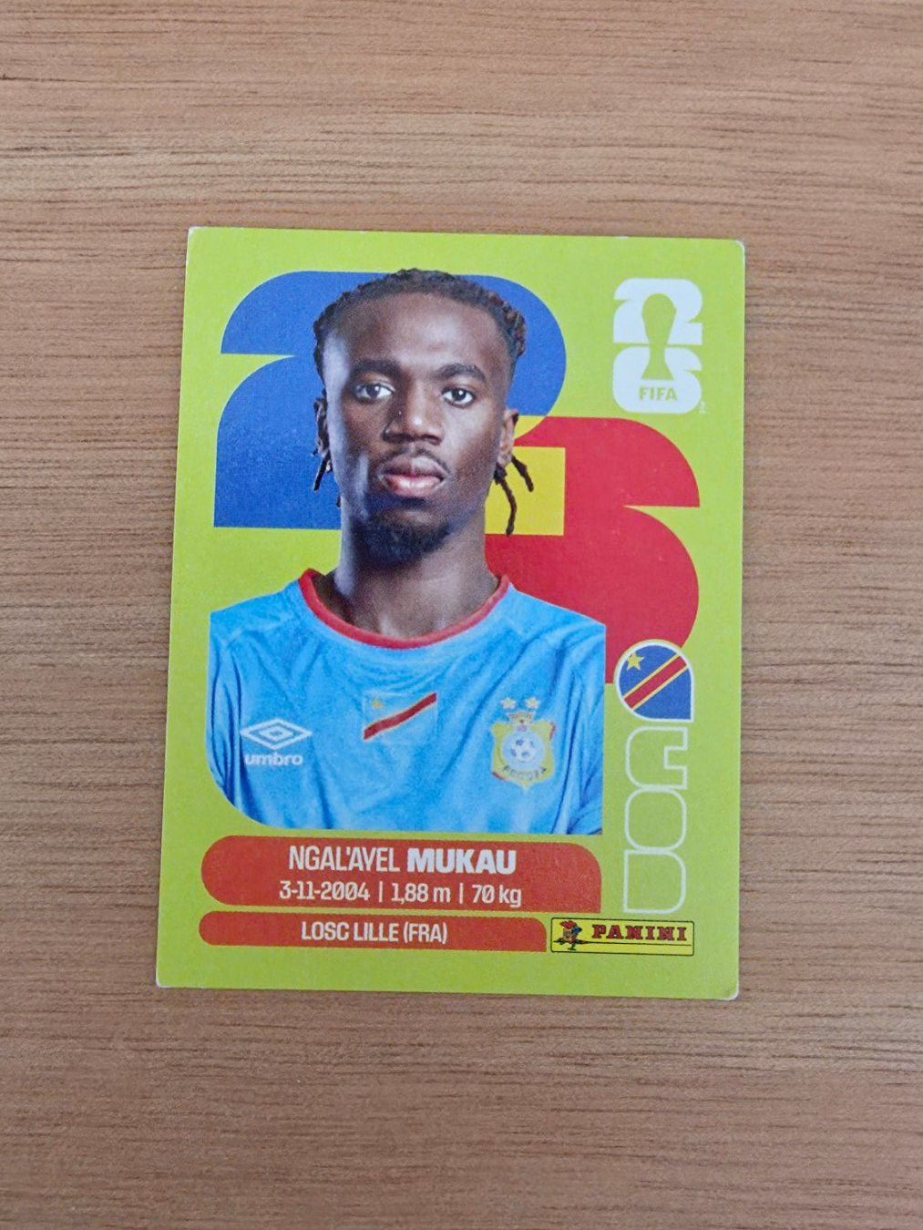 Panini Carte collezionabili: Panini Fifa COD 9 – Usato da Malters venduto da mat_6102