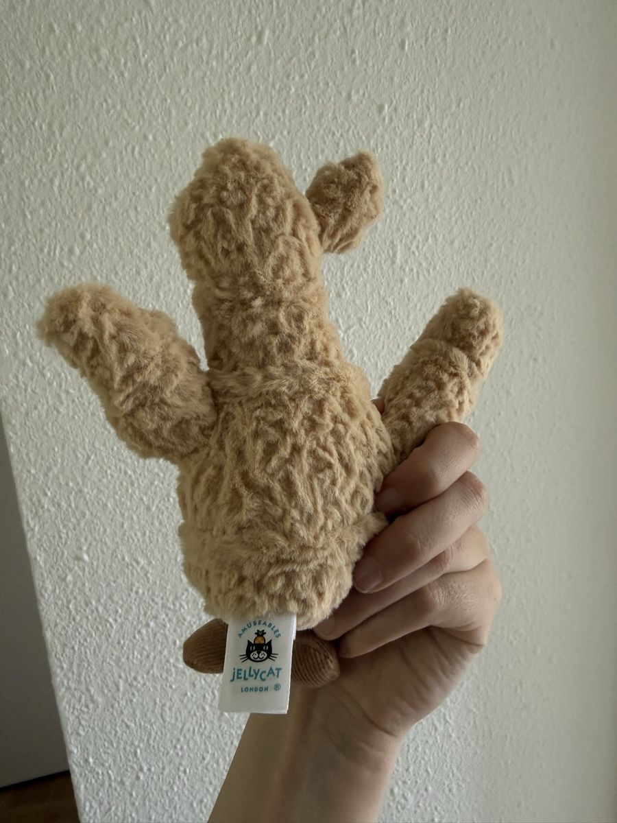Jellycat Giocattoli: Jellycat Ingwer – Nuovo e nell'imballaggio originale da Solothurn venduto da delialiliane 1