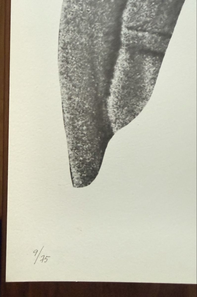 Grafica & Litografie: VILLALBA Dario - Lithographie – Usato da Solothurn venduto da NUVICO 3