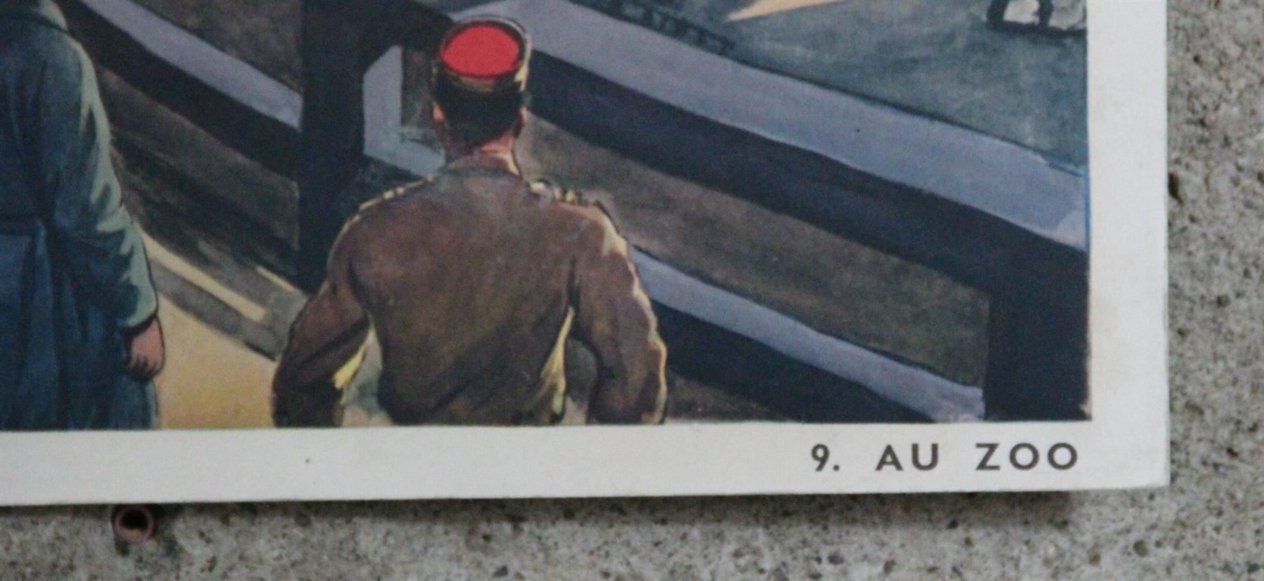 Poster & Bilder: doppel Schulwandbild "au Zoo, le stade" – Gebraucht aus Birrwil von brandschatz_birrwil 8
