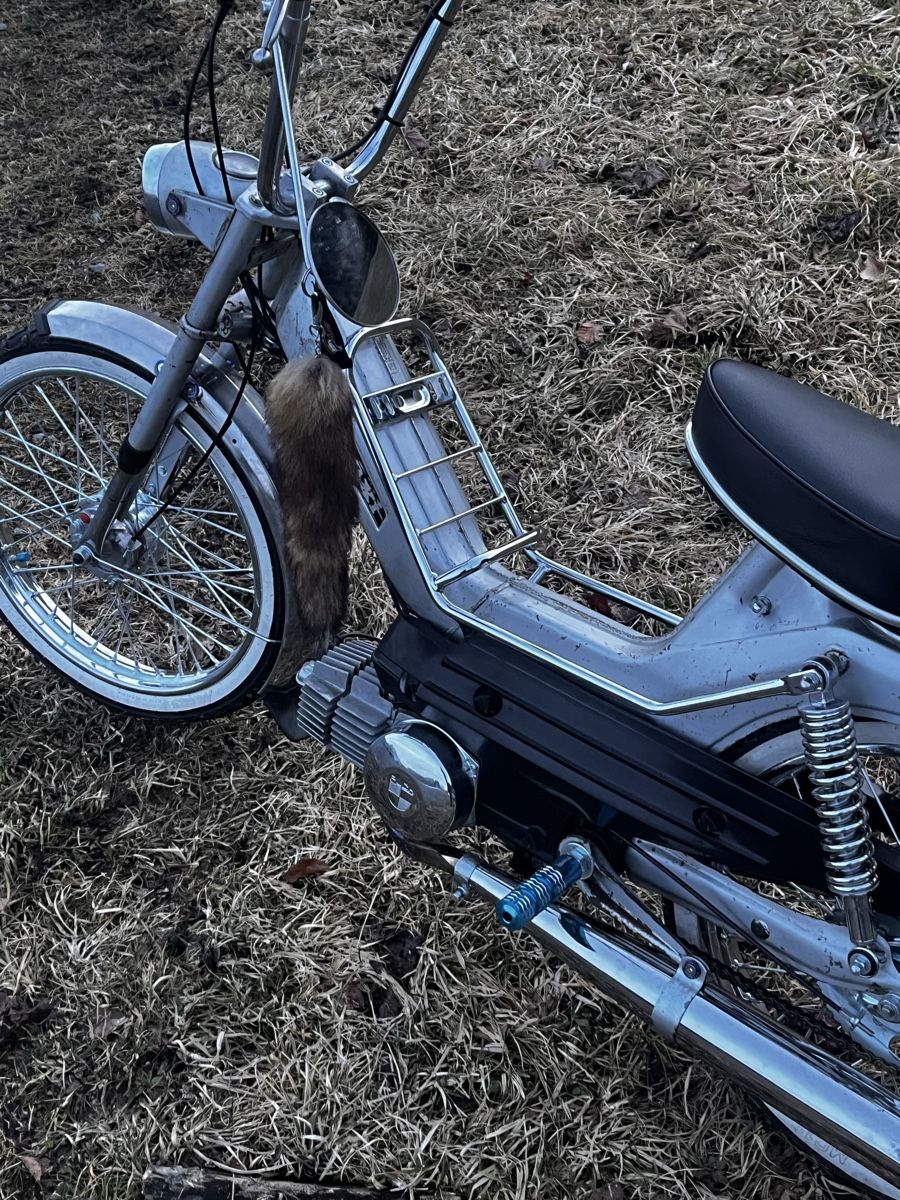 Puch Cyclomoteurs: Puch Maxi S  – D'occasion à Hergiswil NW par cowa_81 2