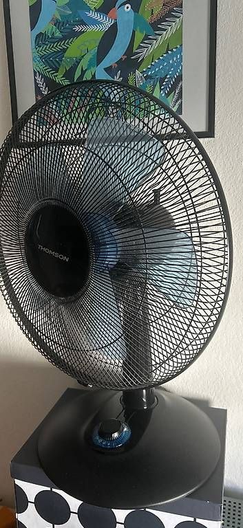Ventilatoren: Lot de deux ventilateurs – Gebraucht aus Val-d'Illiez von mar_75dz 1