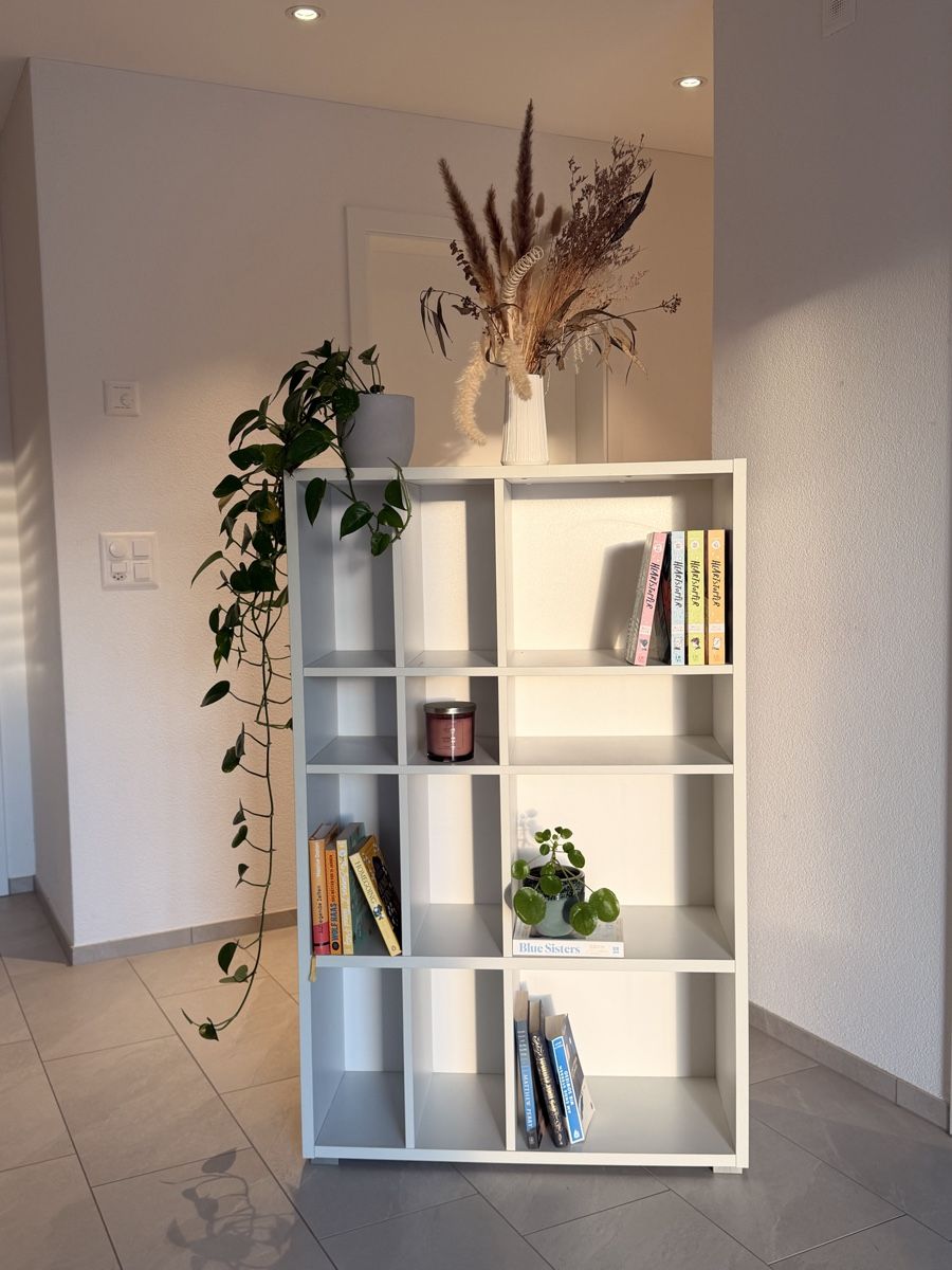 Scaffali: Bücherregal – Usato da Villmergen venduto da fabiienneg