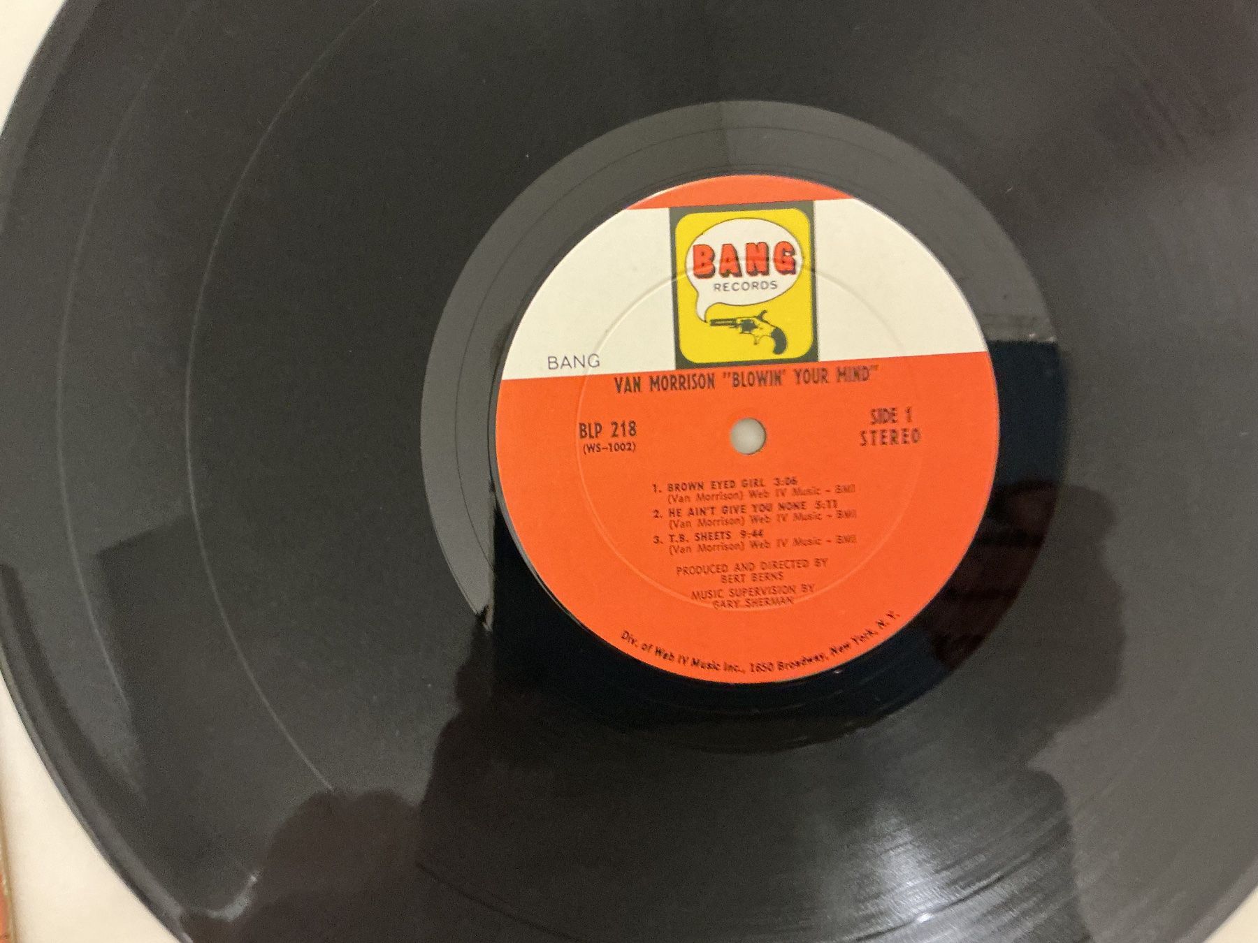 Dischi in vinile: Van Morrison LP - Blowin' Your Mind – Usato da Winterthur venduto da Tumko_7_Vinyl 1