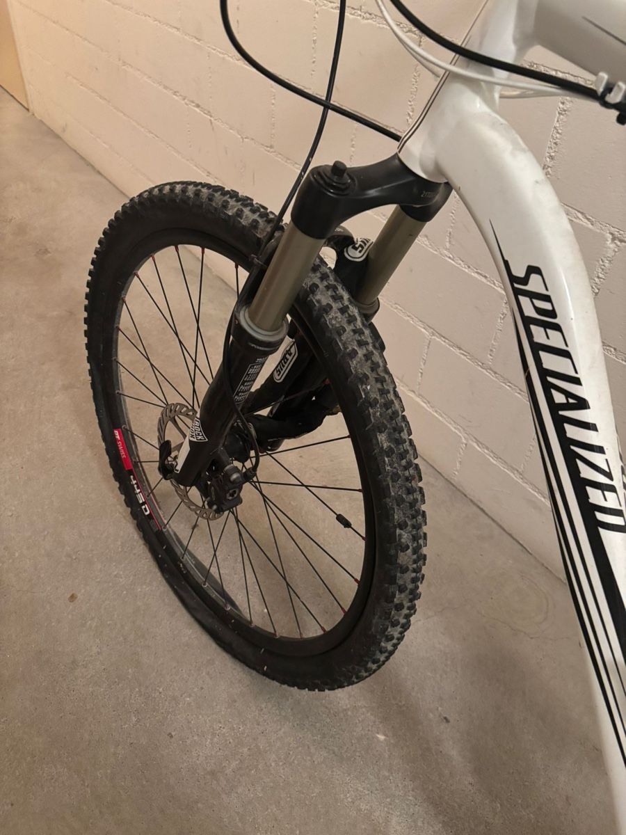 Specialized Biciclette: Specialized Herren Mountainbike – Usato da Aesch BL venduto da Kliana 2