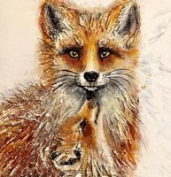 Fuchs mit Welpe