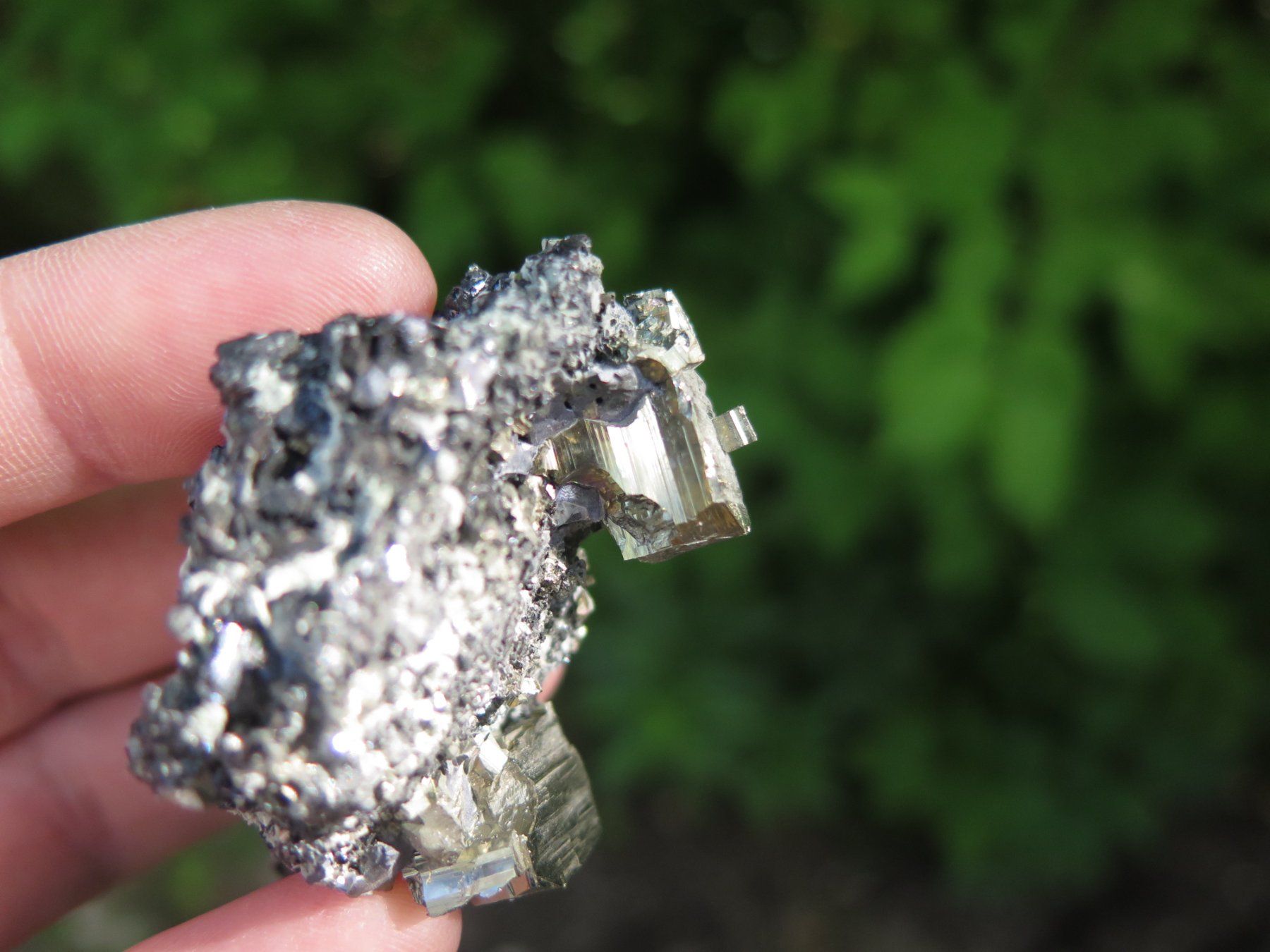 Minerali & Pietre curative: Pyrit auf Sphalerit von Bulgarien – Usato da Schaffhausen venduto da Yamakana51L8736OQ8 2