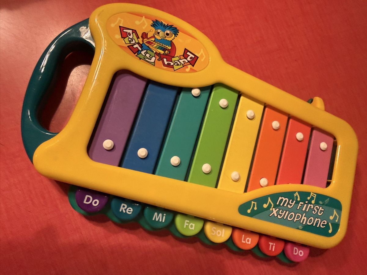 Strumenti musicali: Xilofono My First Giallo Colorato – Usato da Roveredo GR venduto da ang_cc9l 2