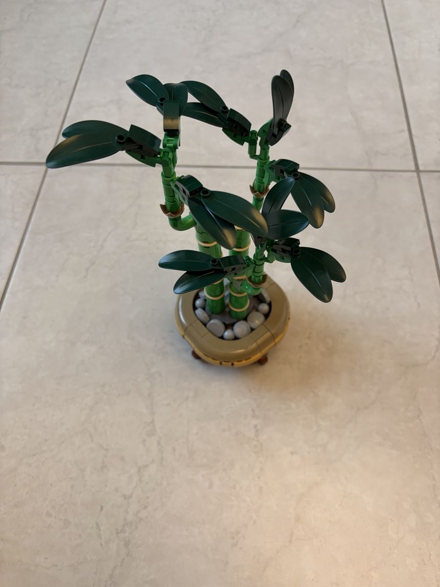 Lego Kit di costruzioni: LEGO Bamboo Plant Set 40675 Good Condition – Usato da Höri venduto da nat_mxx9 1