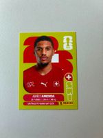 Carte panini 2026 - SUI 7