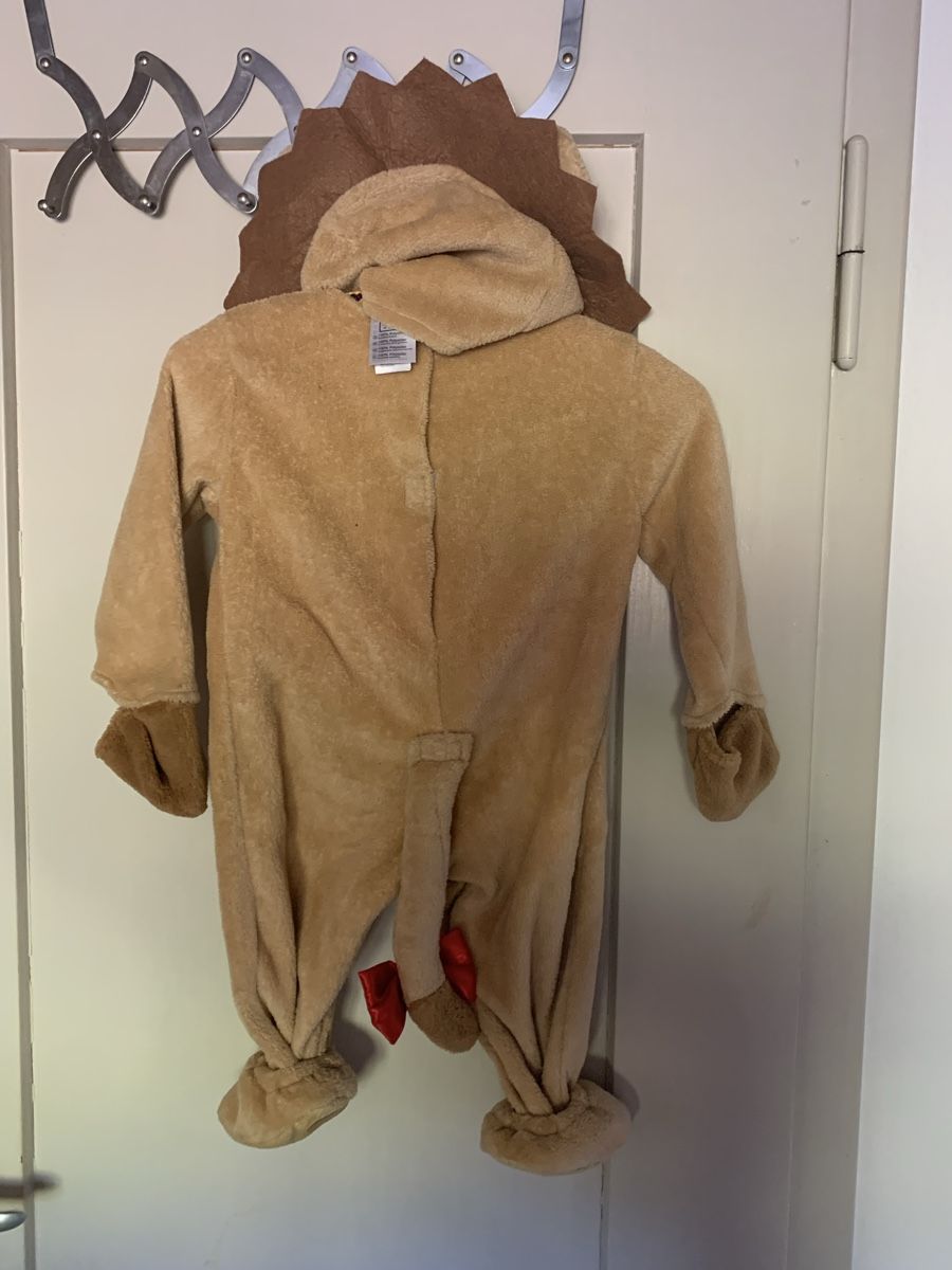 Costumi: Kinderkostüm Löwe Grösse ca. 12-24 Monate – Usato da Laufen venduto da Twingi33 2
