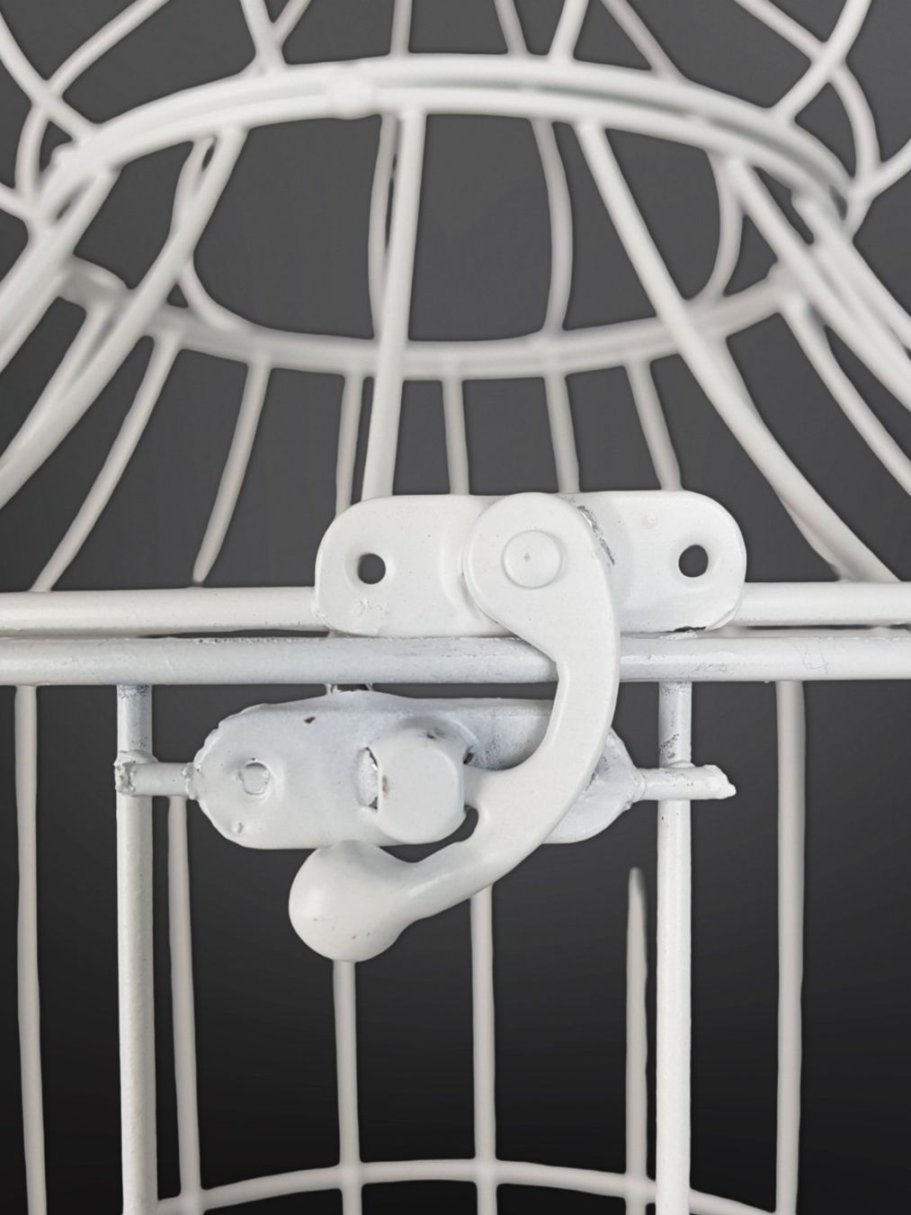 Gabbie, trasporto & Sicurezza: Deko-Vogelkäfig mit Gestell – Usato da Suhr venduto da Restwert_Suhr 7