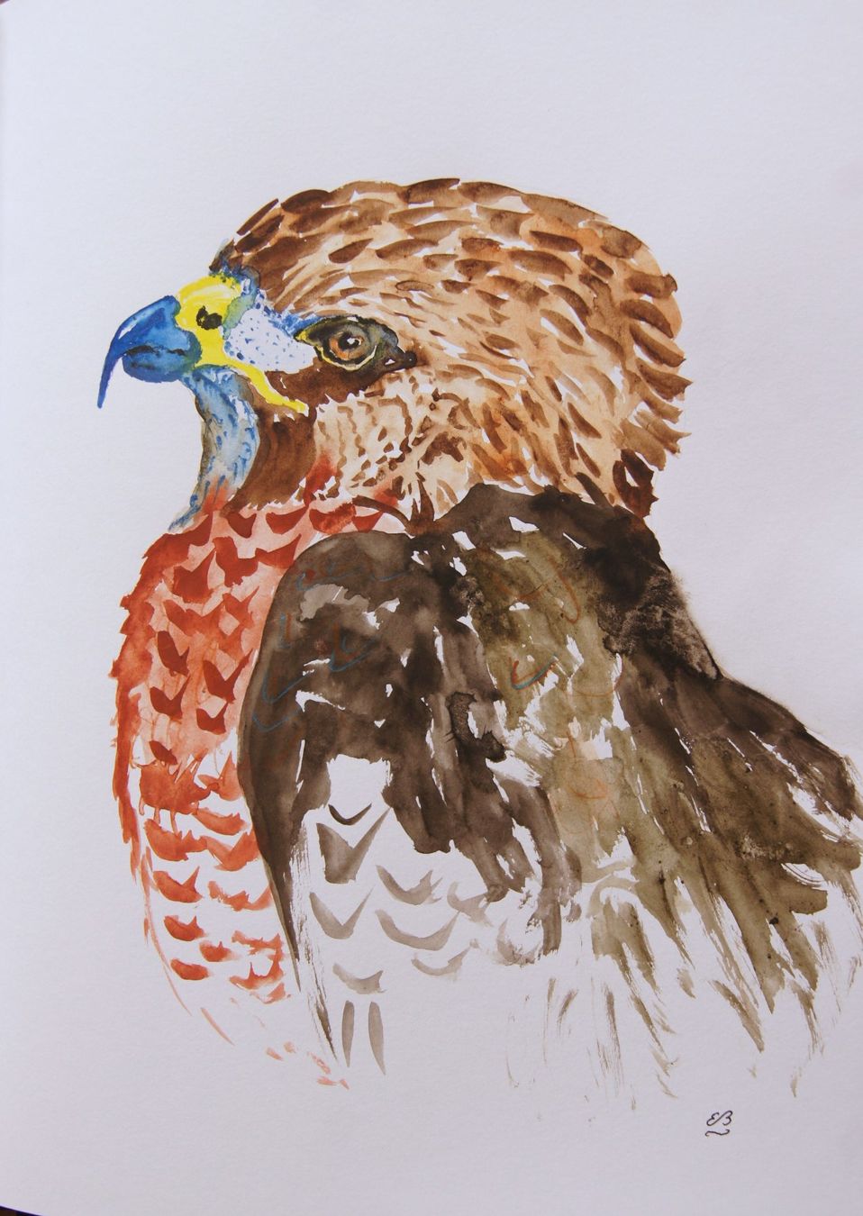 Dipinti: Zeichenbuch mit Tier Aquarellen – Usato da Fribourg venduto da erw_68dx 8