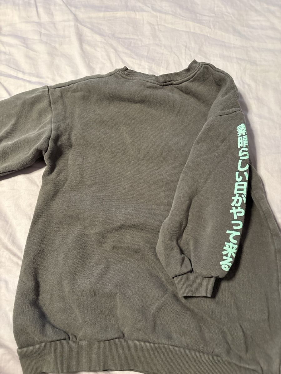 Zara Pullover & Sweatshirts: Pullover mit Japanischen Motiv – Gebraucht aus Spreitenbach von bea_wrh6 2