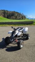 Polaris Predator 500