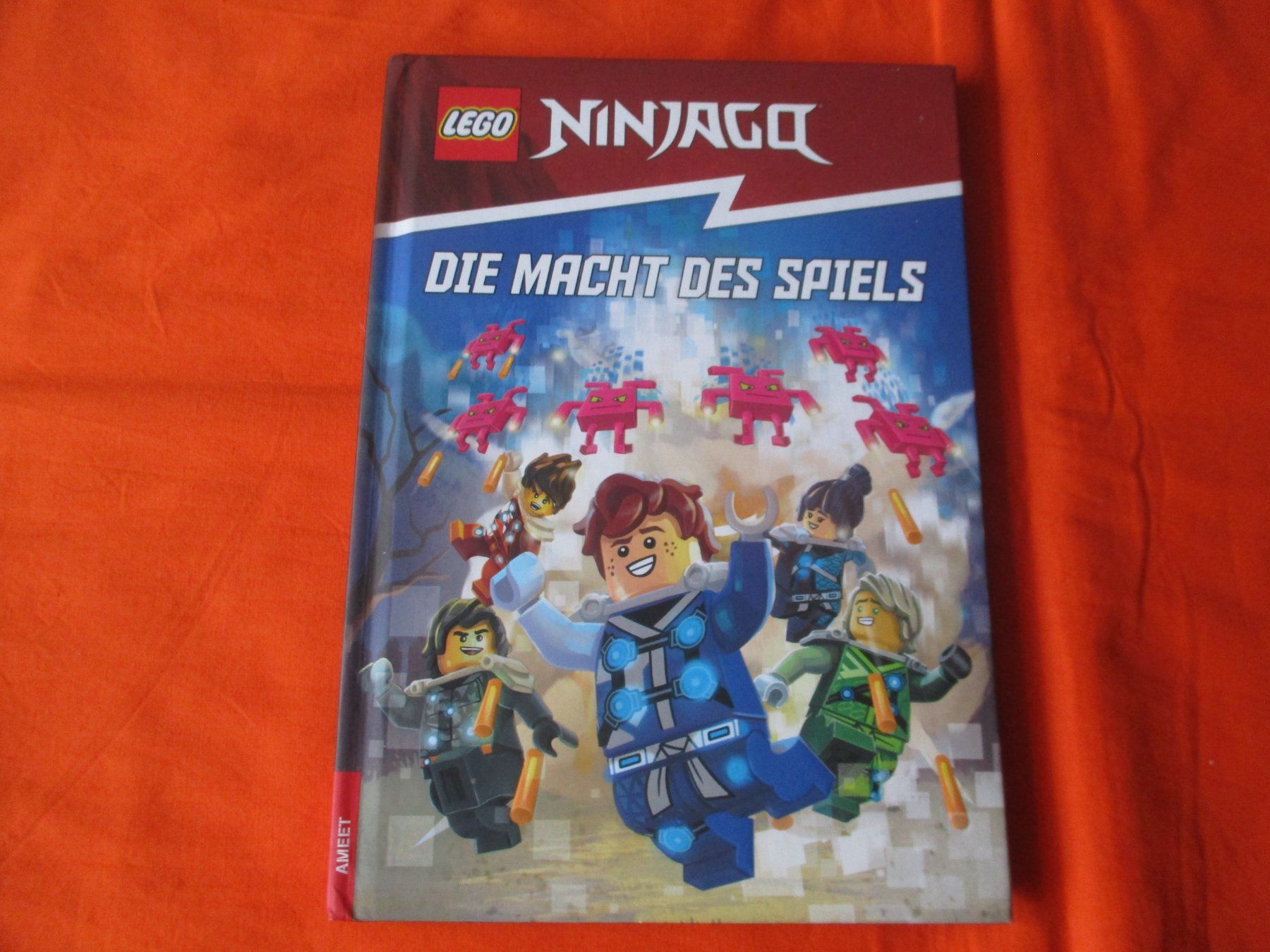 Libri: Buch Lego Ninjago – Usato da Birsfelden venduto da alles-muss-raus