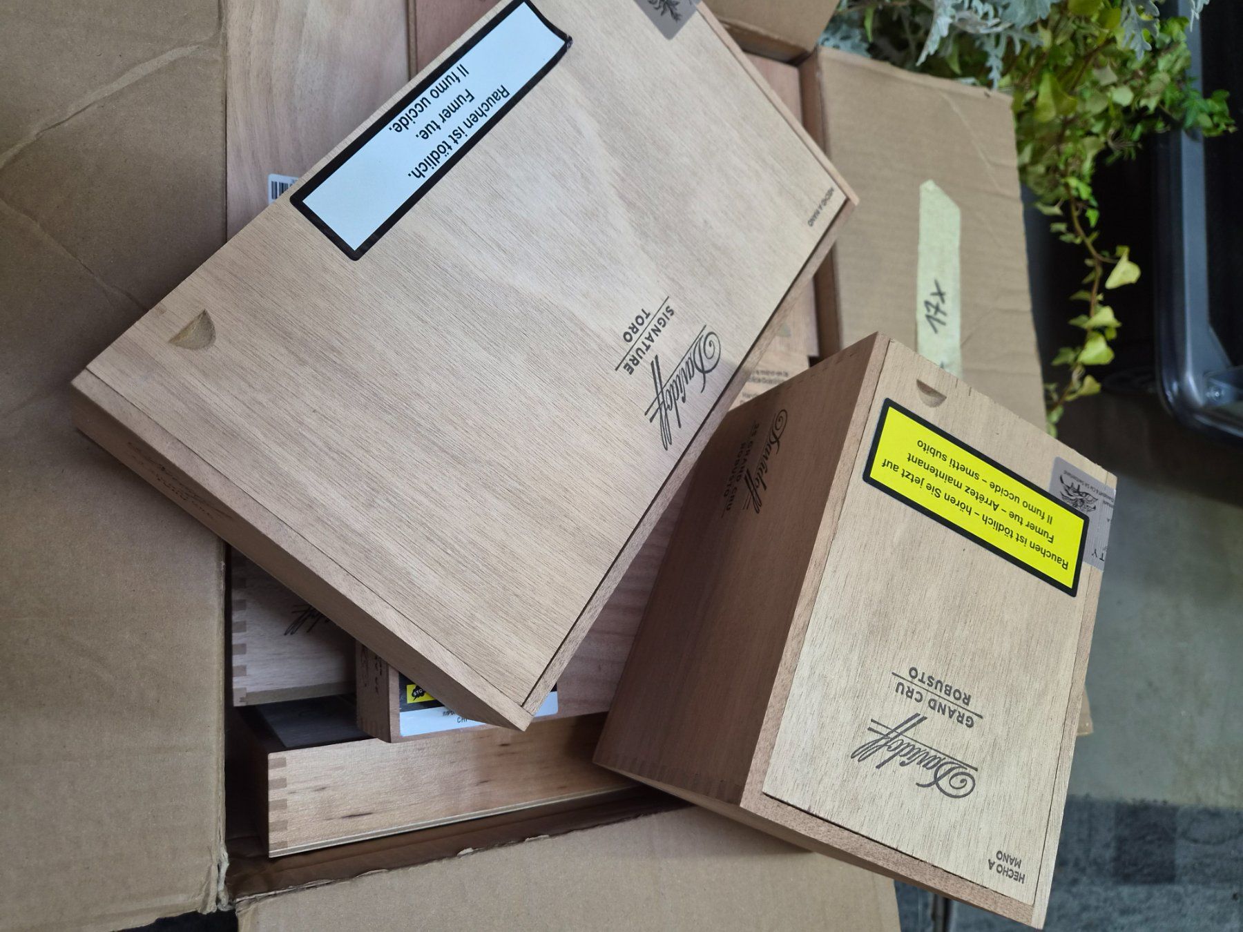 Altri Prodotti per fumatori: 19 x Davidoff Zigarrenkisten mix – Usato da Wetzikon ZH venduto da Tothart 9