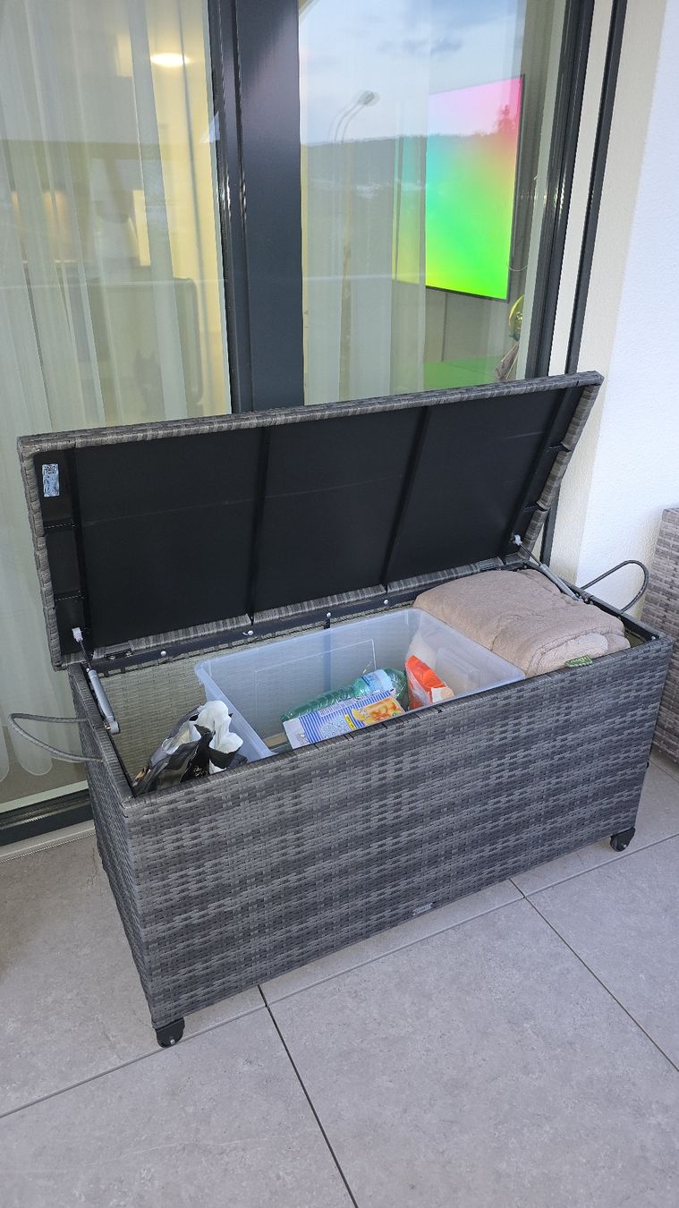 Auflagenboxen: Rattan Aufbewahrungsbox – Neu (gemäss Beschreibung) aus Adlikon b.Regensdf von Alfonso2023 1