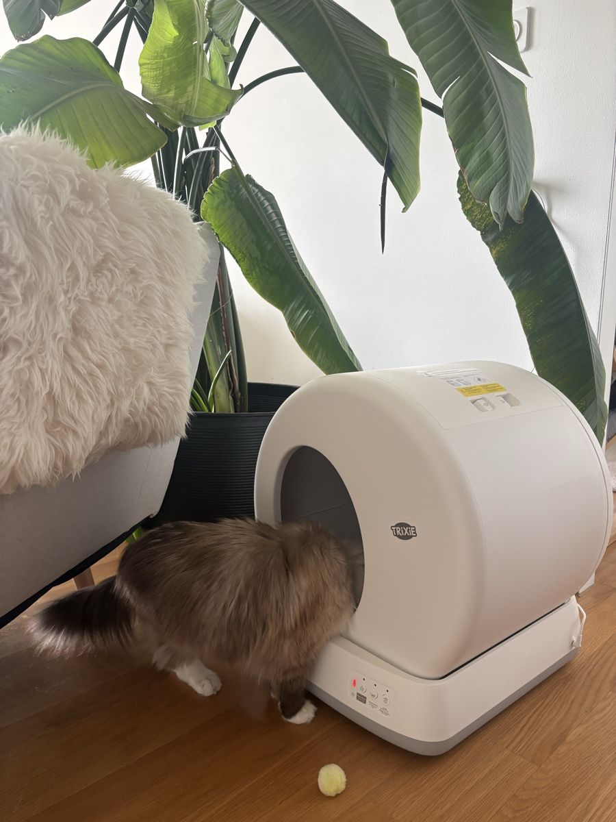Trixie WC: Trixie Self Cleaning Cat Litter Box – Nuovo (secondo la descrizione) da Basel venduto da val_rvm7 7