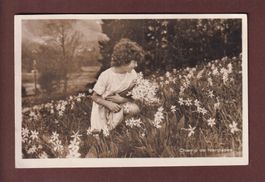 Champ de NARCISSES - Jeune fille
