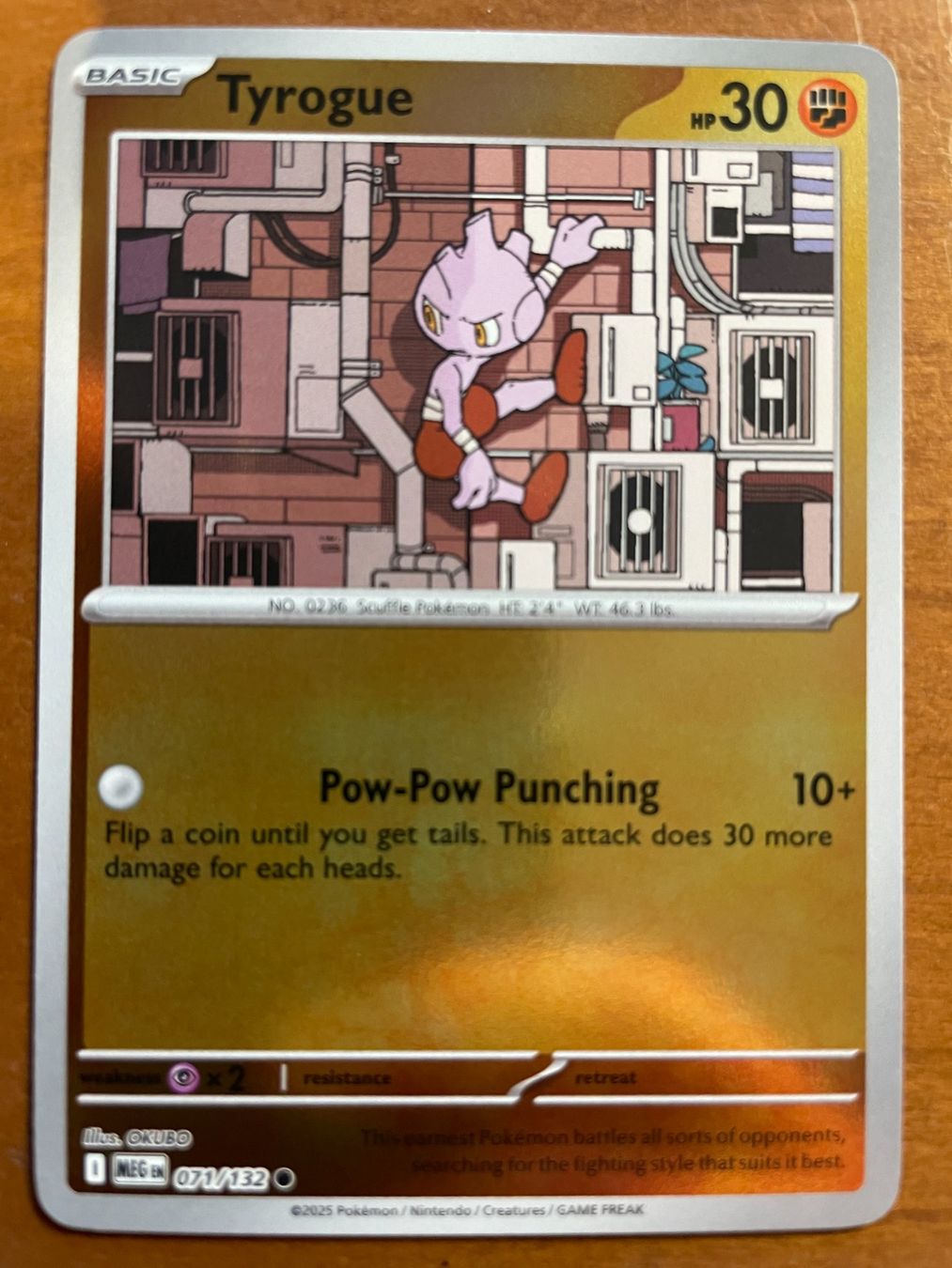 Pokémon Carte collezionabili: Pokemon Tyrogue Reverse (Versand gratis) – Nuovo (secondo la descrizione) da Chur venduto da Angerson