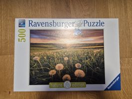 500er Puzzle: Pusteblumen im Sonnenuntergang