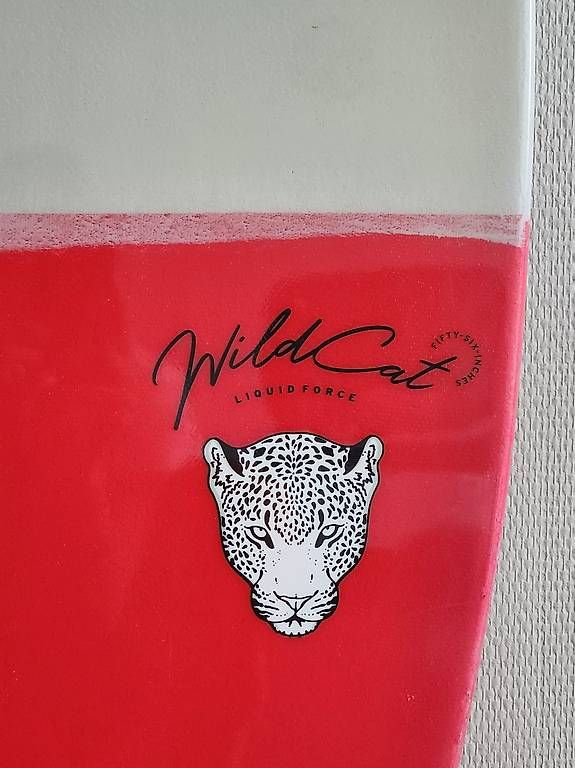 Tavole da surf e di nuoto: NEUF - Liquid Force WILDCAT WAKESURFER – Usato da Genève venduto da Fleur-Xuan 4
