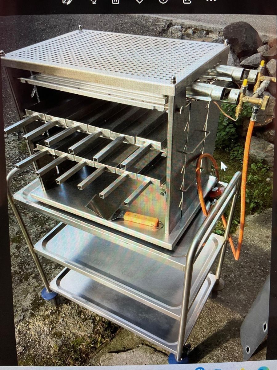 Griglie: Raclette Gasgrill – Usato da Bichwil venduto da gra_l2dr 1