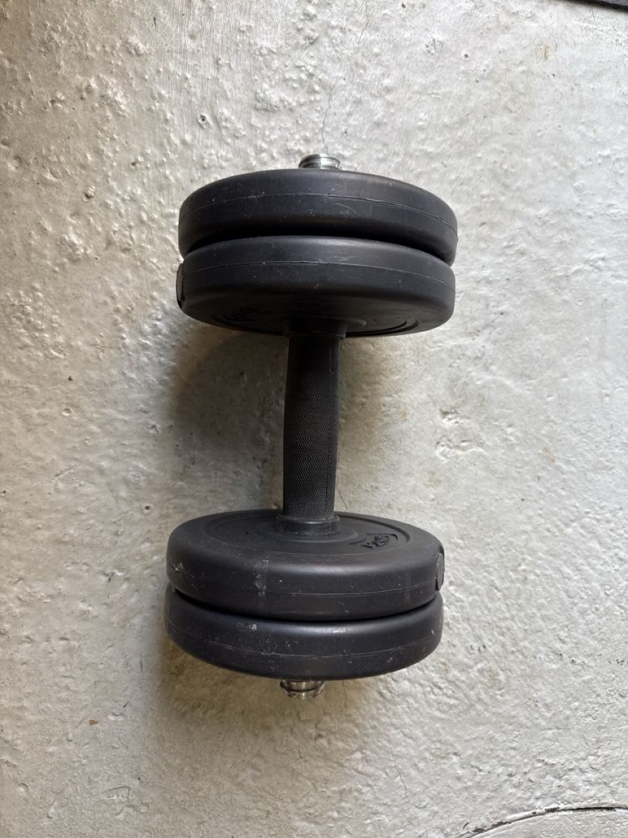 Manubri & Pesi: Kurzhantel 4x 1.25kg Scheiben – Usato da Oensingen venduto da ramon.92 2