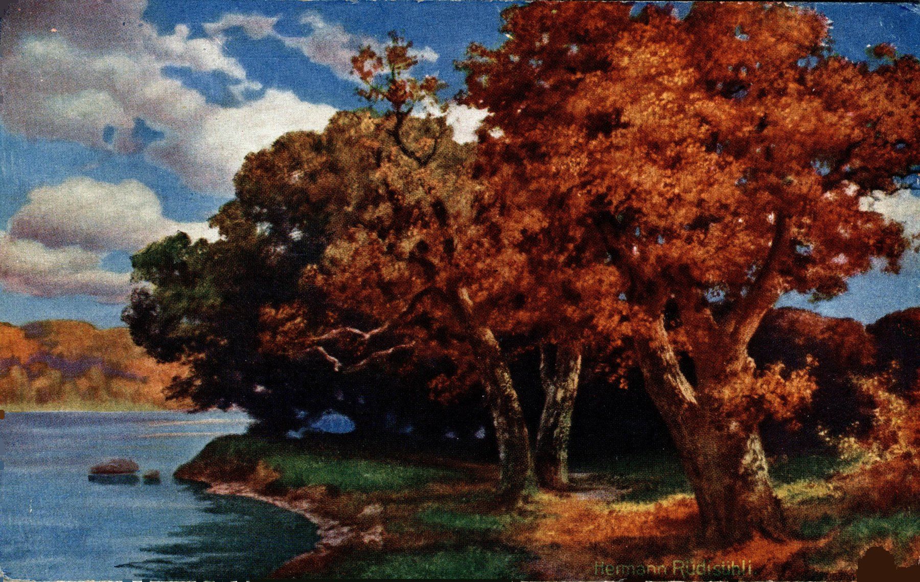 Cartoline postali: 6 Karten Hermann Rüdisühli - Herbstmorgen – Usato da Bronschhofen venduto da Astore 6