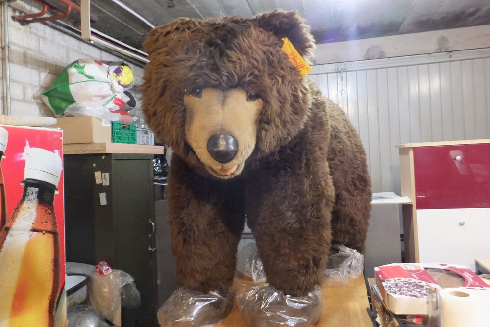 Steiff Poupées: Junger Bär von Steiff – D'occasion à Arboldswil par Florida025