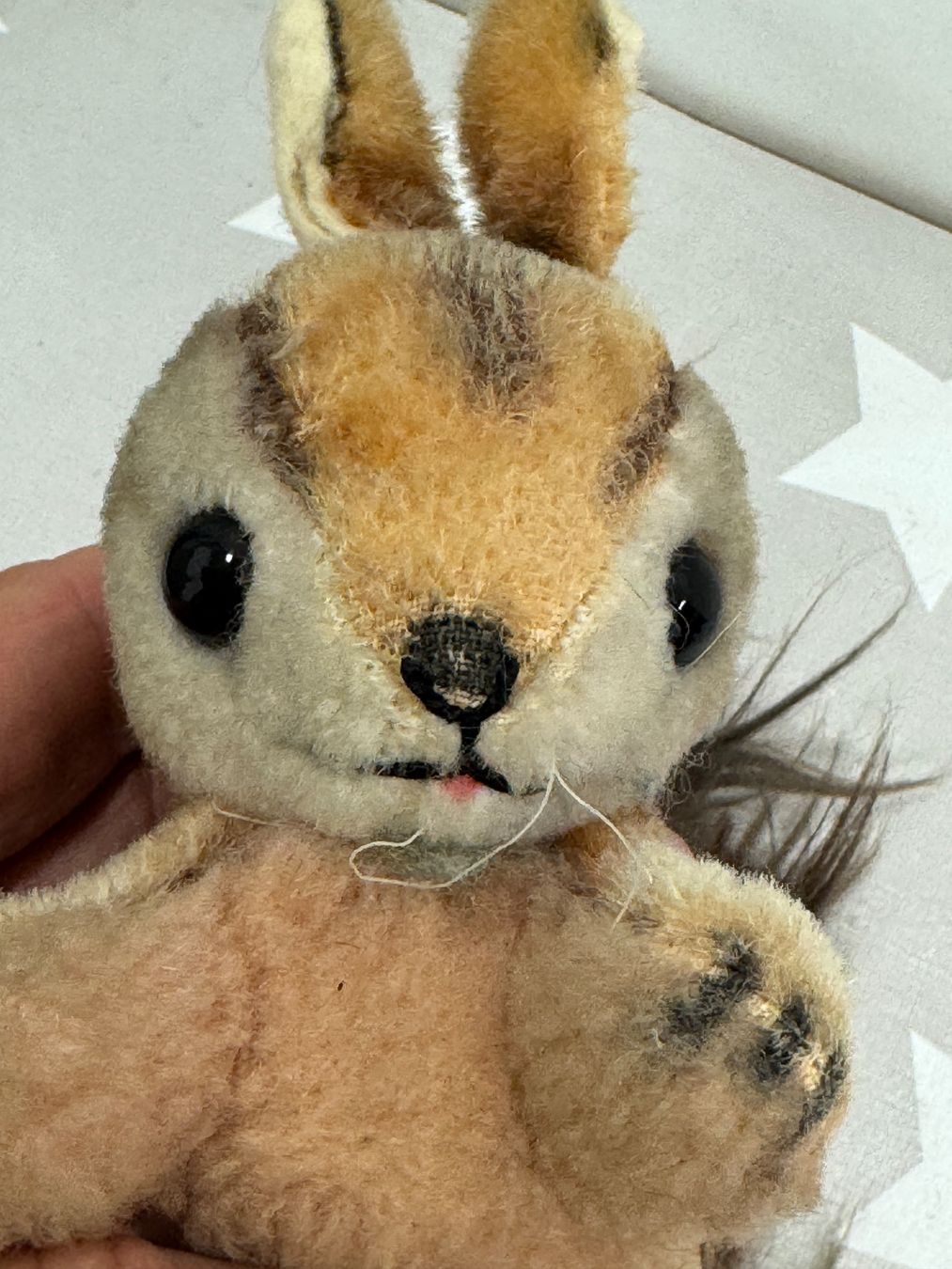 Spielzeuge: Steiff ? Eichhörnchen – Gebraucht aus Rafz von Powacaddy 5