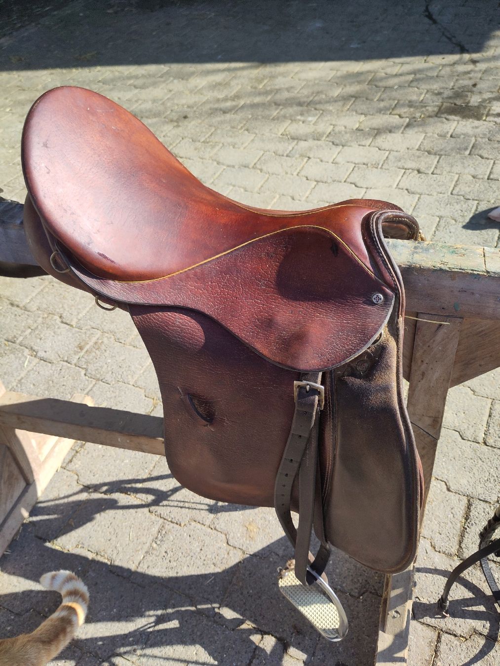 Selle & Accessori: Reitsattel – Usato da Leimiswil venduto da lor_2rlj 1