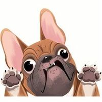 🚗3D Aufkleber Französische Bulldogge – Brauner Hingucker!🐶