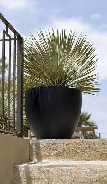 Vasi per fiori: Topf Jesslyn M von potterypots, Schwarz – Nuovo e nell'imballaggio originale da Chur venduto da elifornico