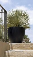Topf Jesslyn M von potterypots, Schwarz