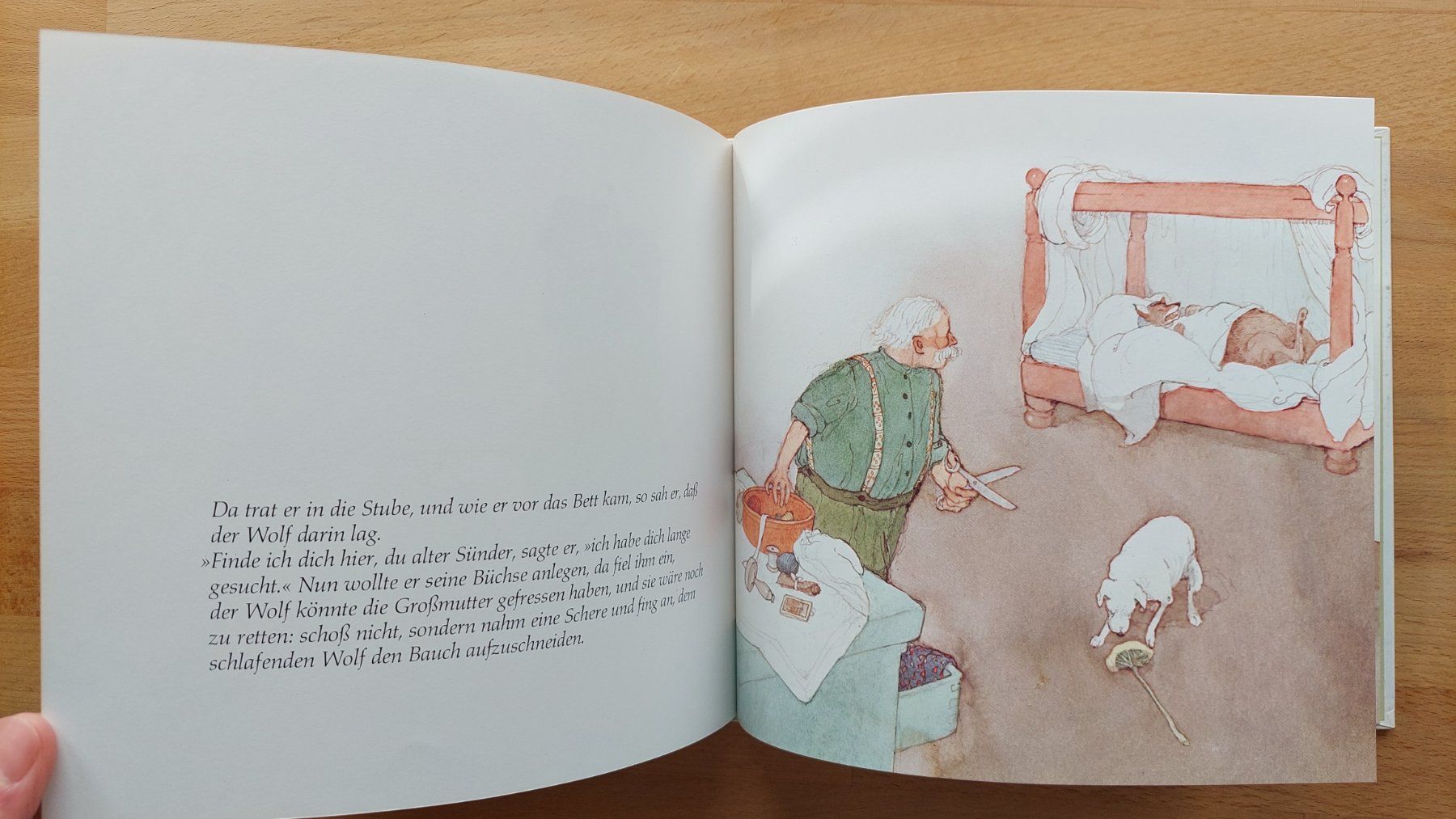 Libri: Brüder Grimm Rotkäppchen - Lisbeth Zwerger – Usato da Obfelden venduto da Foto_Bild_Kunst_Buch 7