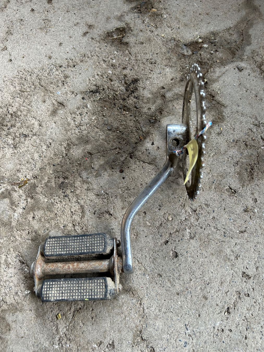 Sachs Parti ricambio per ciclomotori: Sachs Mofa Tretwerk – Usato da Fahrni b. Thun venduto da berger_tuning34 2