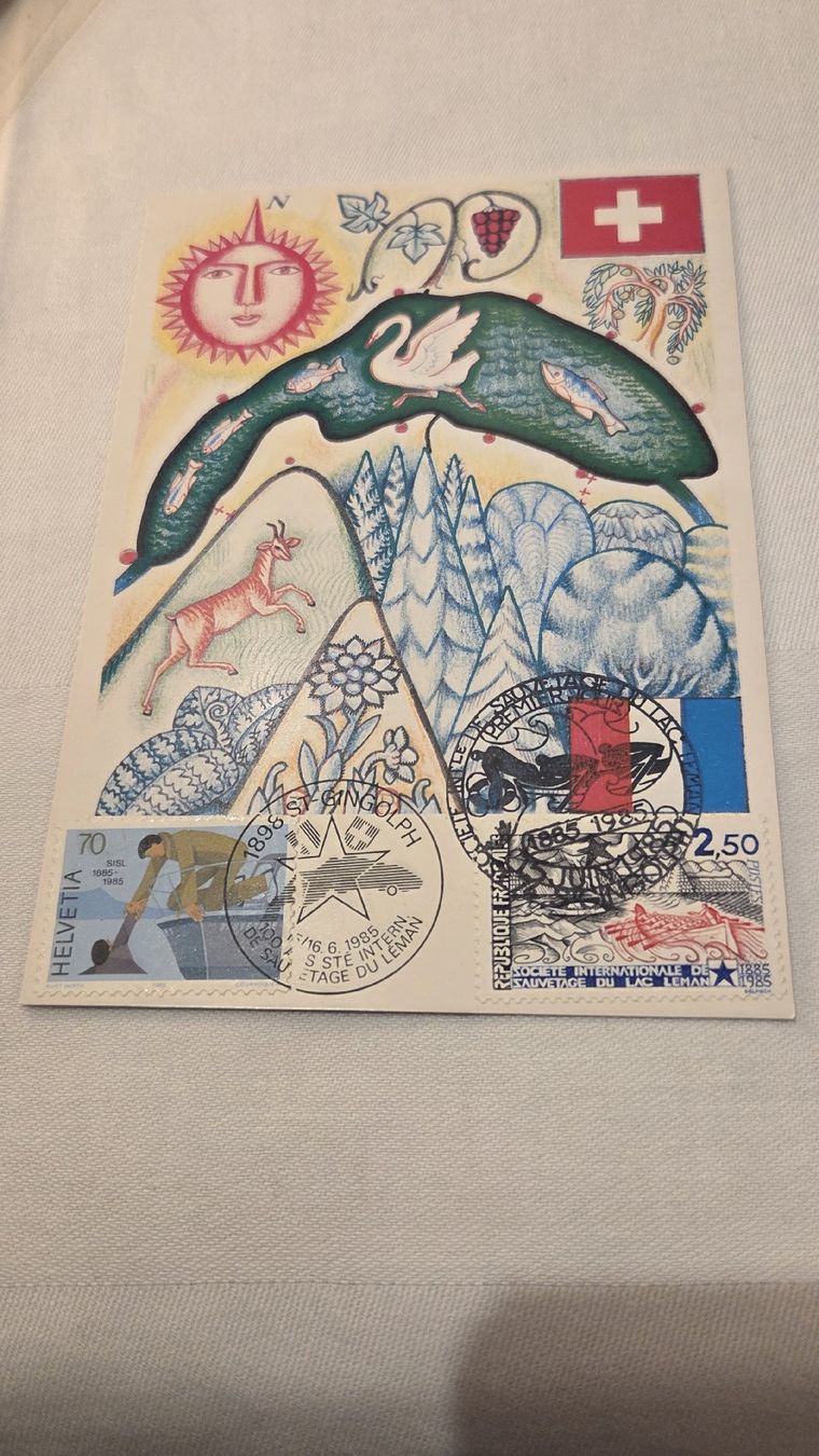 Tutti i francobolli: 1985 Maximumkarte Combo  – Usato da Arni AG venduto da Moth68
