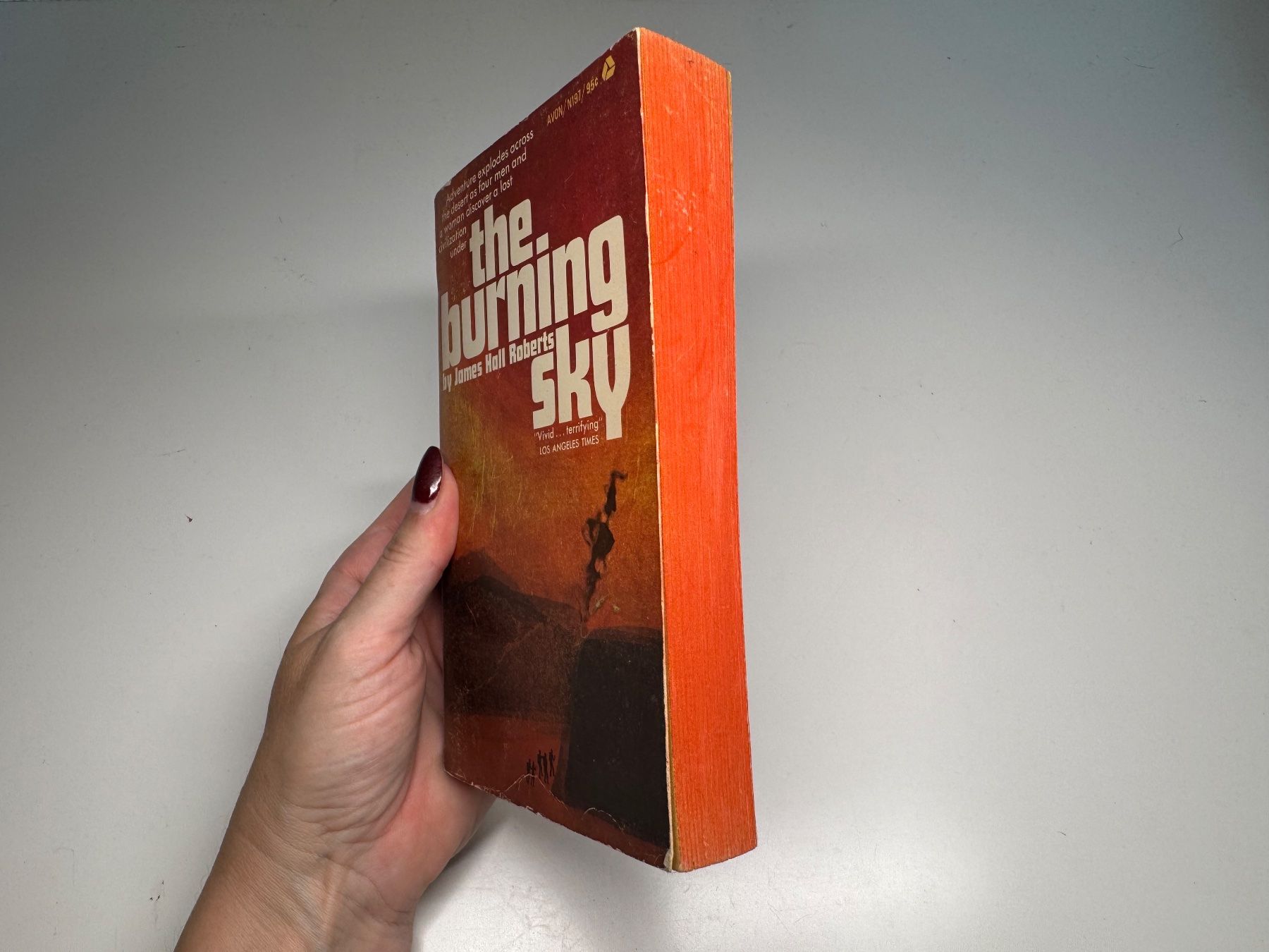 Libri: NOVEL: James Hall Roberts, The Burning Sky – Usato da Grosswangen venduto da English_books 1